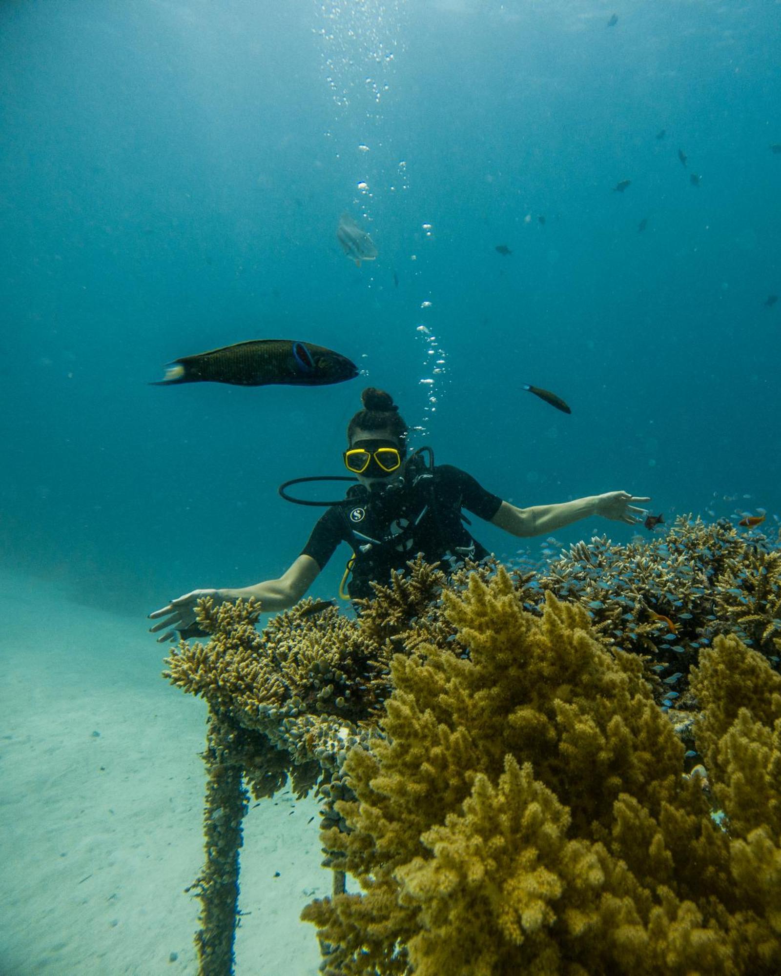Grand Park Kodhipparu Maldives Hotel Baros Island Kültér fotó